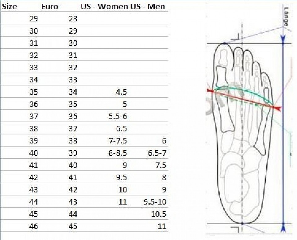 Shoe Size Guide